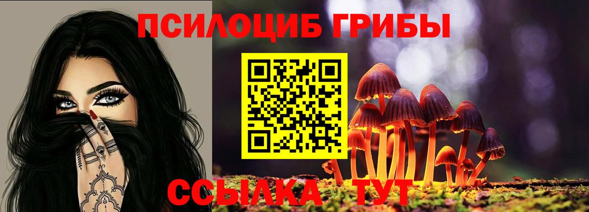 Галлюциногенные грибы прущие грибы  Вход с VPN  Баксан 